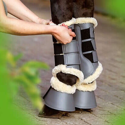 pferdezubehoer bubblenavibild